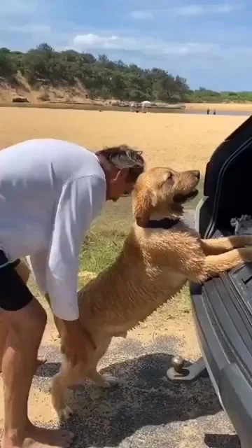 Нет! Не хочу ехать домой с пляжа!
