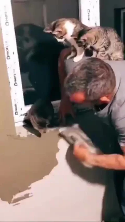 Особо ценные помощники⁠⁠