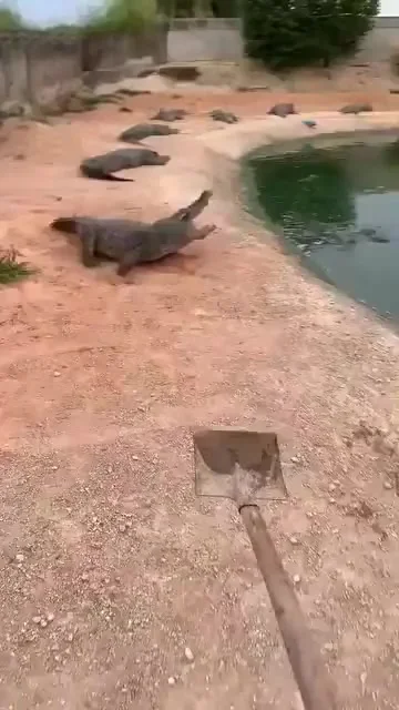 Когда нашёл работу мечты⁠⁠