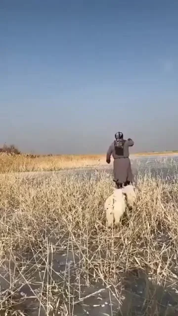Рыбалка в Монголии