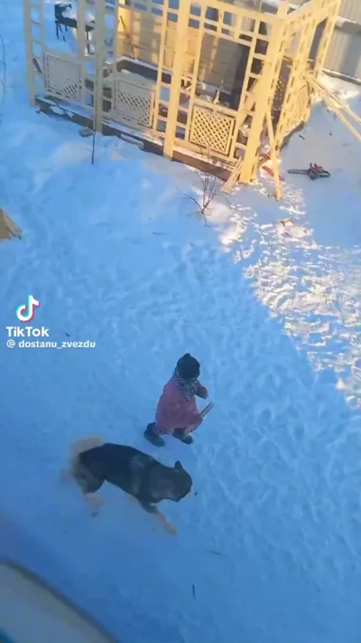 Лучший друг