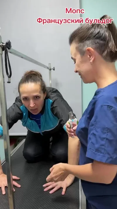Сотрудники салона для животных изобразили своих подопечных