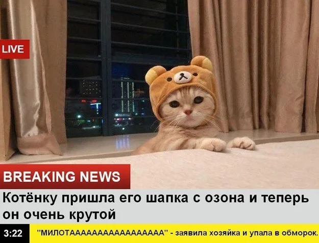 Взросло и смешно