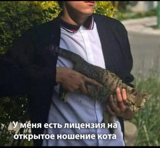 Баянчики