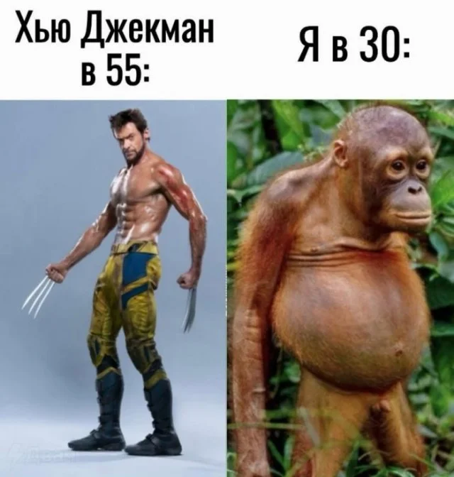Ну ведь реально взрослый