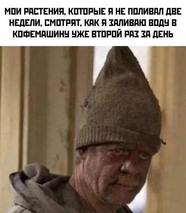 Весело и смешно