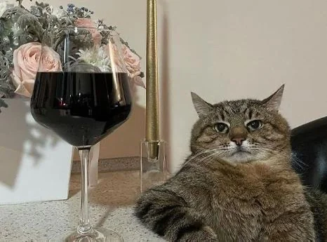 Ну реально так се