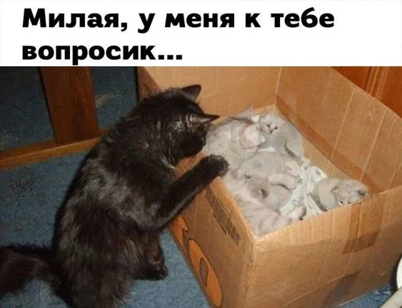 Картинки картиночки