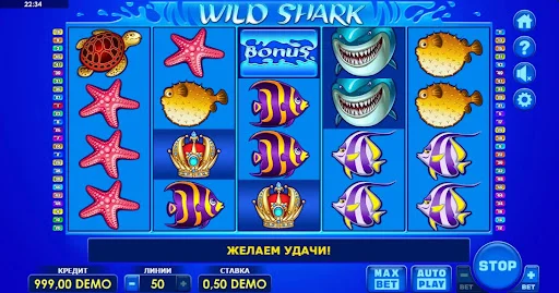 SpinBetter: Идеальный выбор в мире азарта