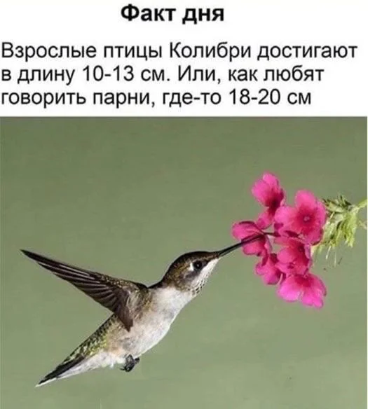 Нестандартный юмор #99