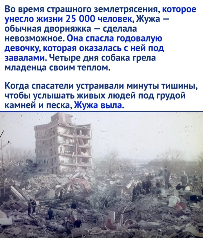 Настоящий друг