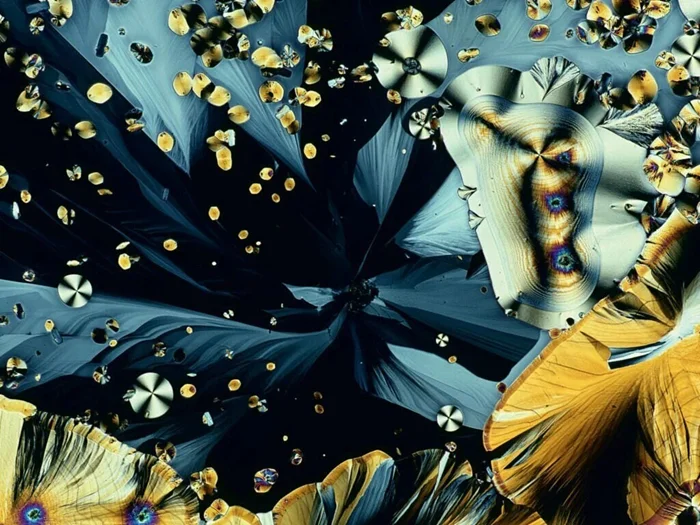 Почему мы нуждаемся в сне: причины и механизмы