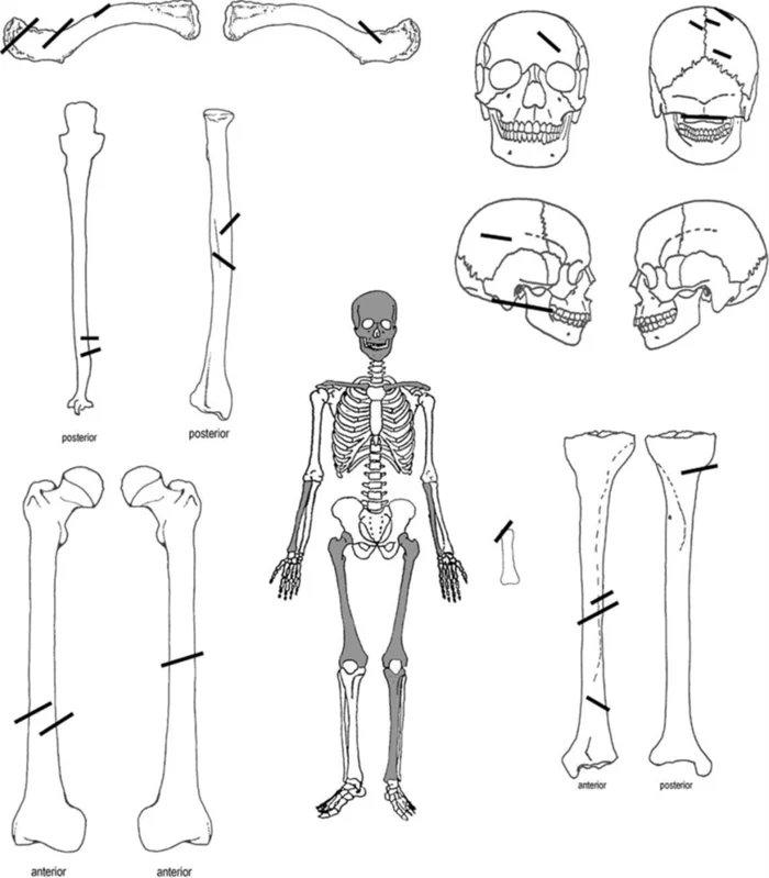 Археологическое изучение Чепинской резни XV века