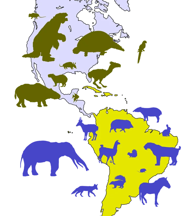 Виргинский опоссум: Как этот южный пришелец покорил Америку своими выходками