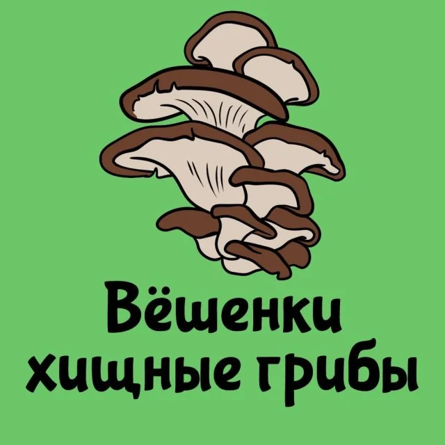 Занимательные факты