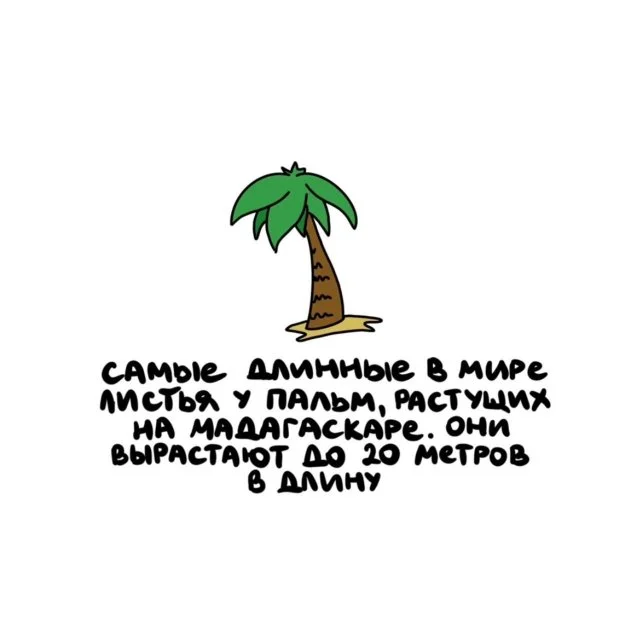 Познавательные факты