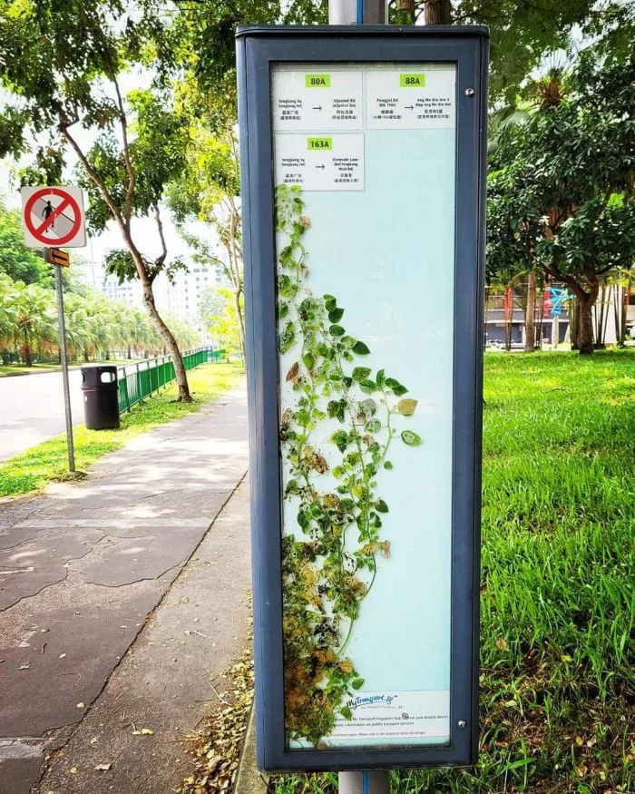 16 удивительных находок: жизнь в самых неожиданных местах