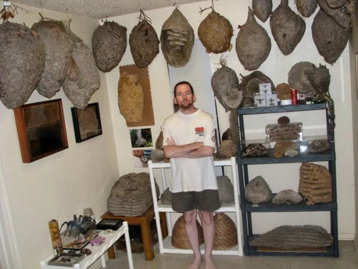 18 коллекционеров, демонстрирующих свои уникальные сокровища