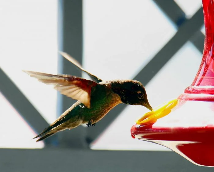 На общую тему