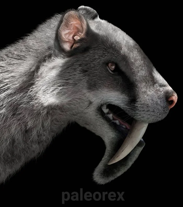 Реалистичные иллюстрации исчезнувших животных: Взгляд в прошлое от талантливого художника