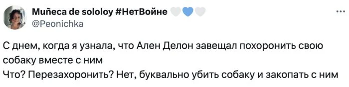 Странные и шокирующие завещания: «Похороните со мной собаку»