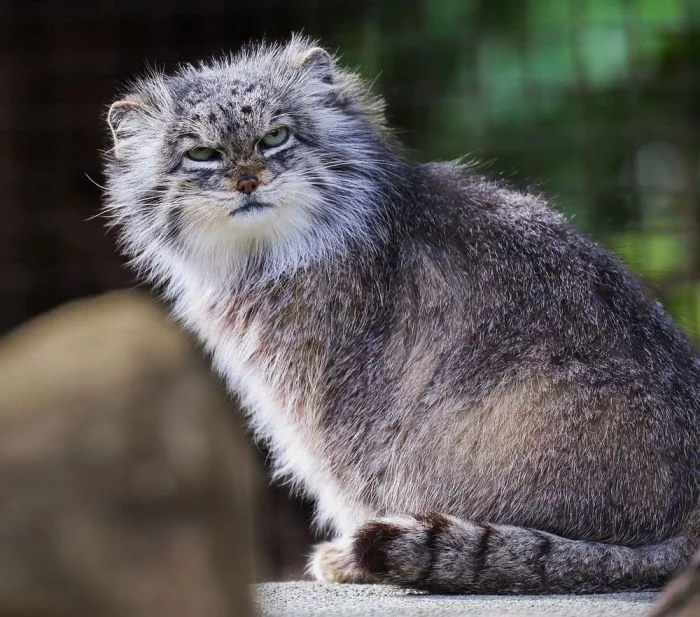 На общую тему