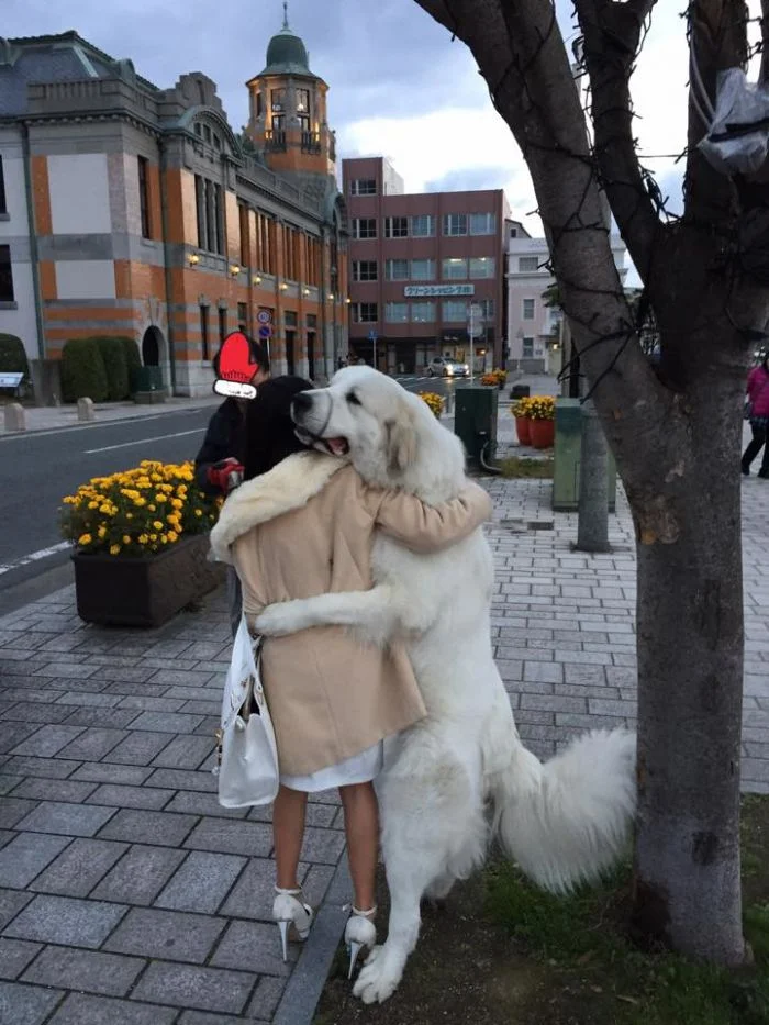 18 животных, излучающих чистую доброту