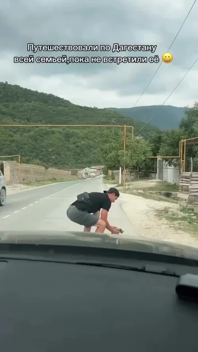 Уличный котёнок нашёл семью