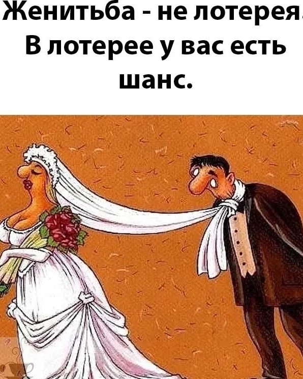 Свежанина