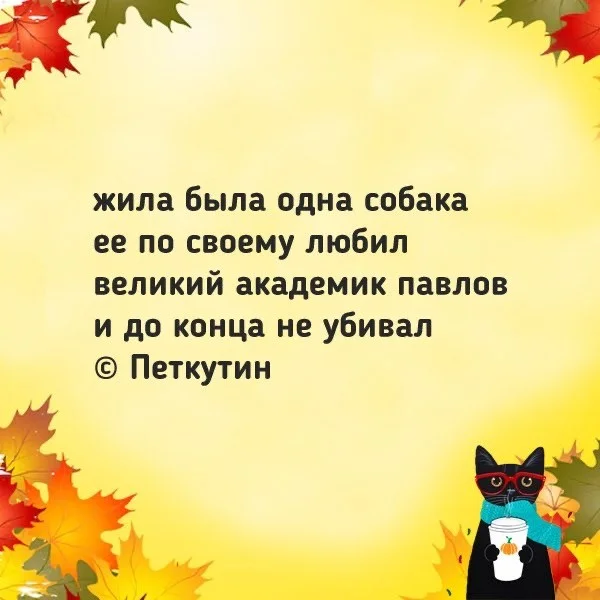 Моментальная деградация