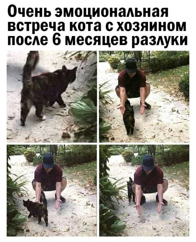 Взрослые мемы