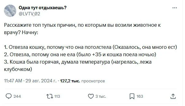 Самые нелепые причины, по которым люди везли своих питомцев к ветеринару