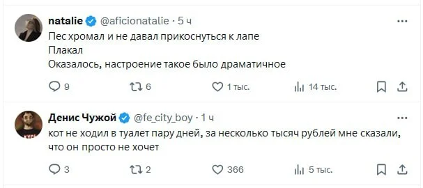 Самые нелепые причины, по которым люди везли своих питомцев к ветеринару