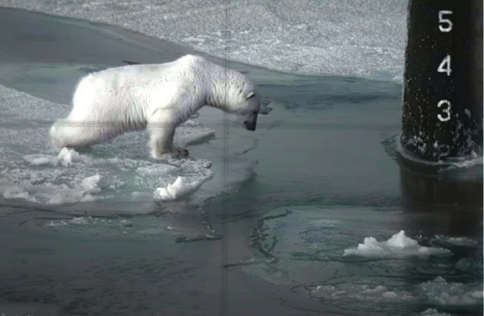 20 раскрашенных фотографий XIX-XX века, которые удивляют и поражают