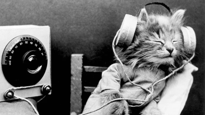 Как музыка влияет на взрослых и детей: почему мы её слушаем?