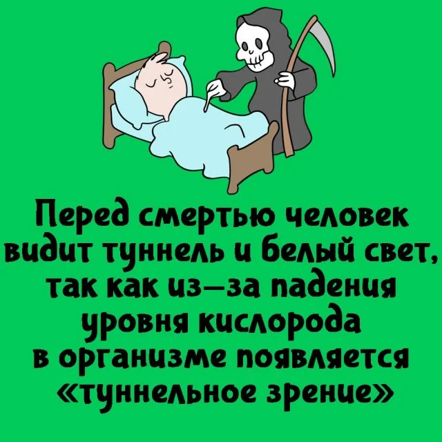 Занимательные факты на каждый день