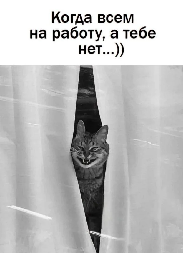 Скрины из соцсетей