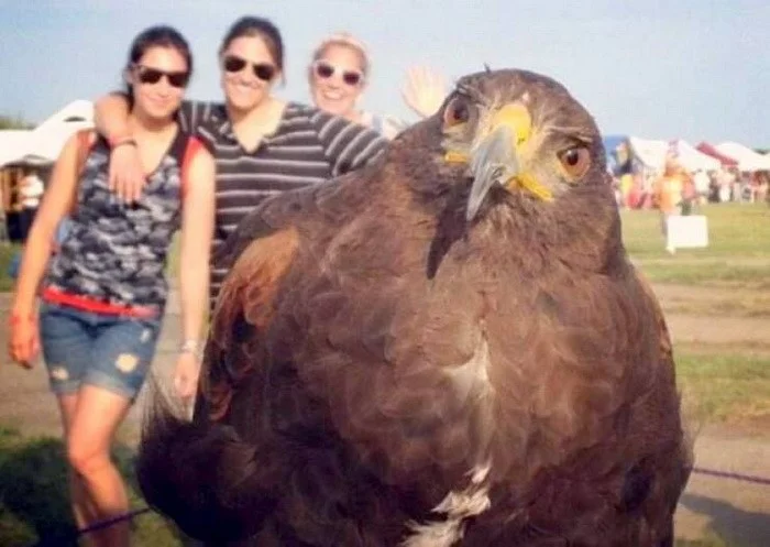 Намешалось