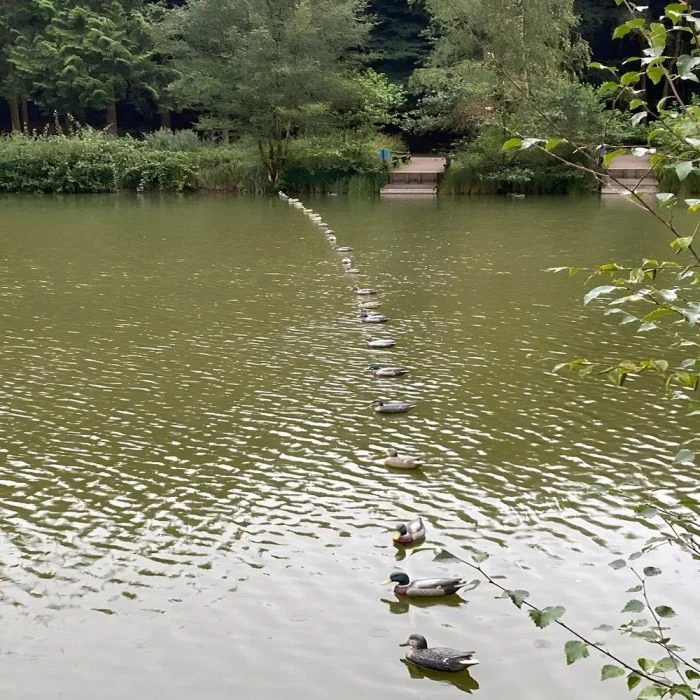 Намешалось