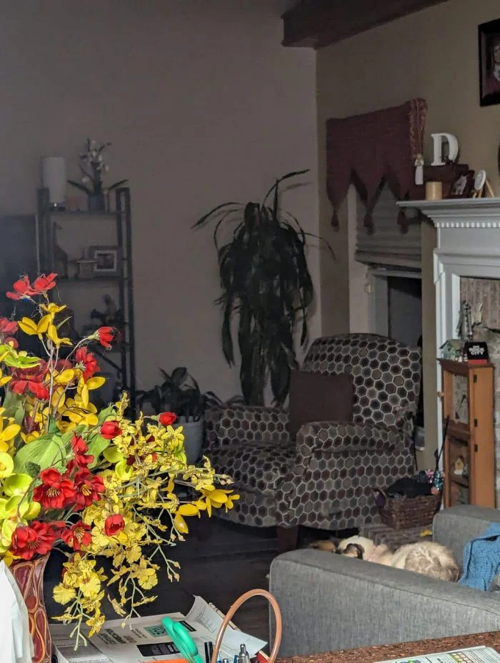 Когда ужасы оказались иллюзией: 15 случаев ложной тревоги