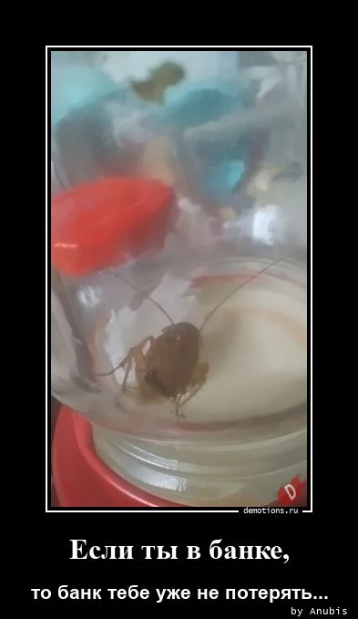 Прикольные демотиваторы