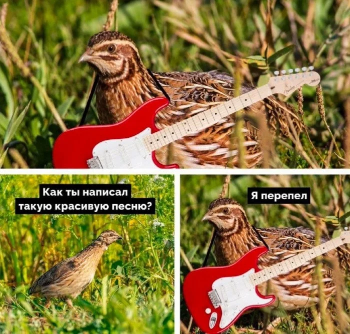 Прикольные картинки #5