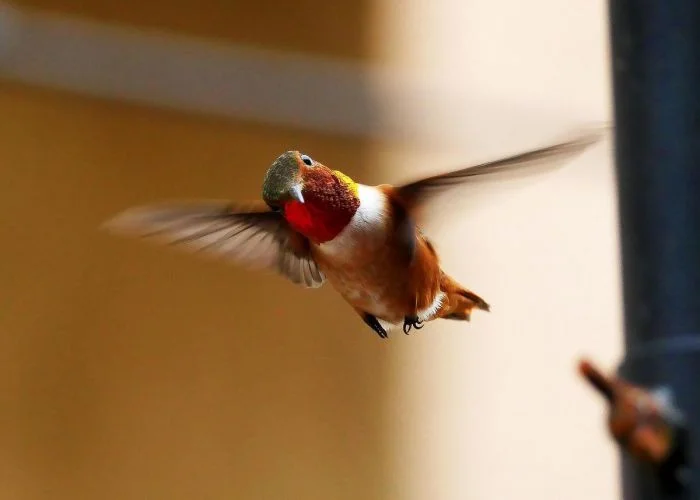 На общую тему