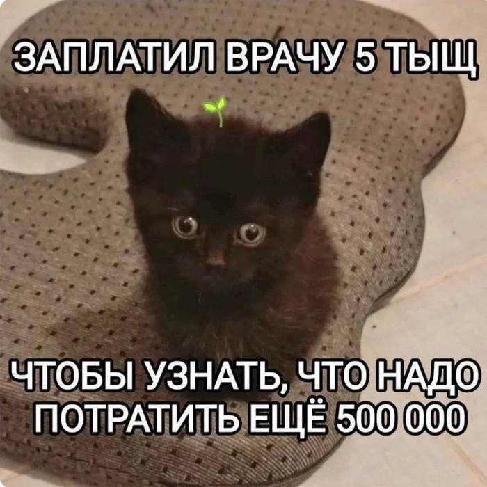 Прикольные картинки #6