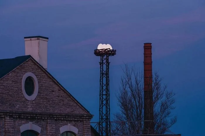 Подборка на общую тему