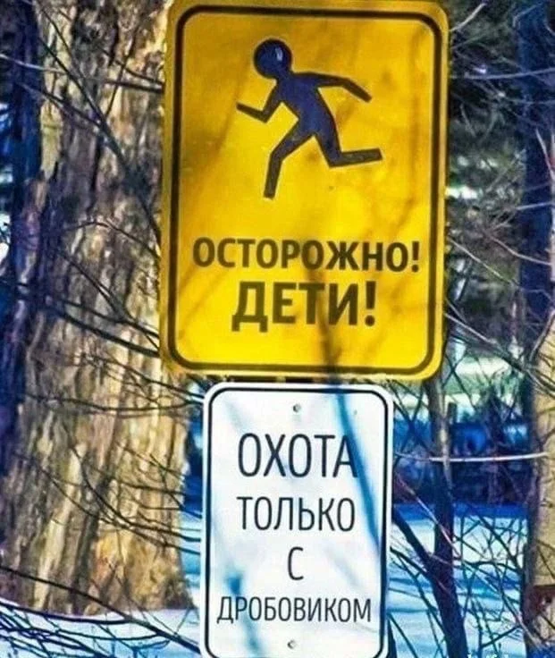 Свежие и актуальные прикольные картинки