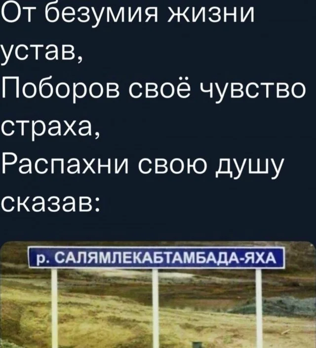 Высокого уровня прикольные картинки