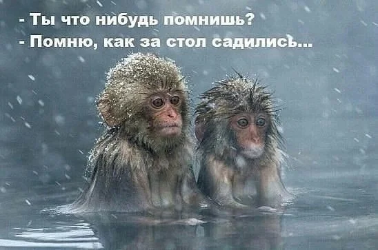 Новые прикольные картинки