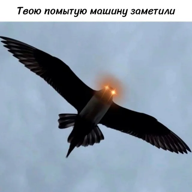 Свежий юмор