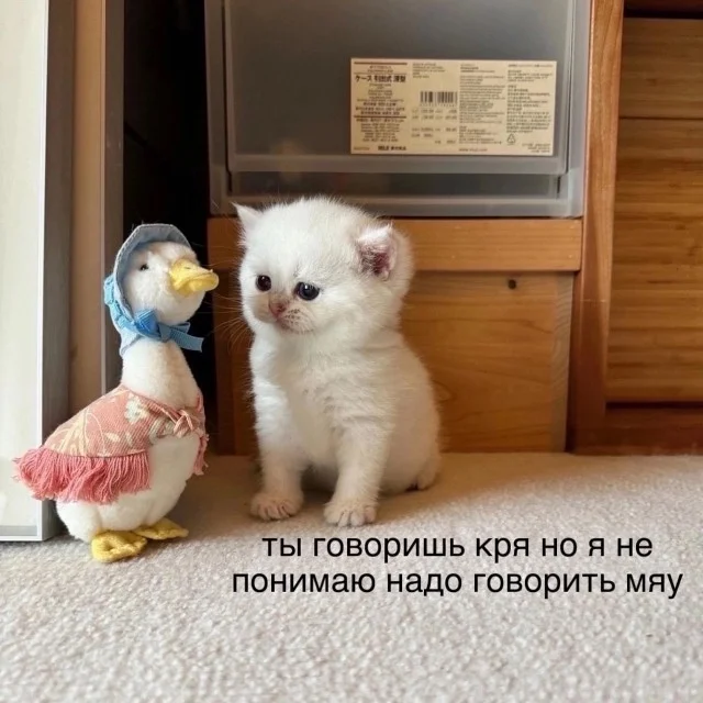 Самые свежие прикольные картинки